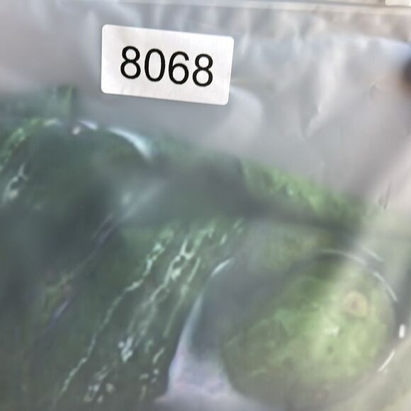 NWOT Unisex Green Graphic Pickle Sweatshirt- Size Large - Picture 4 of 4